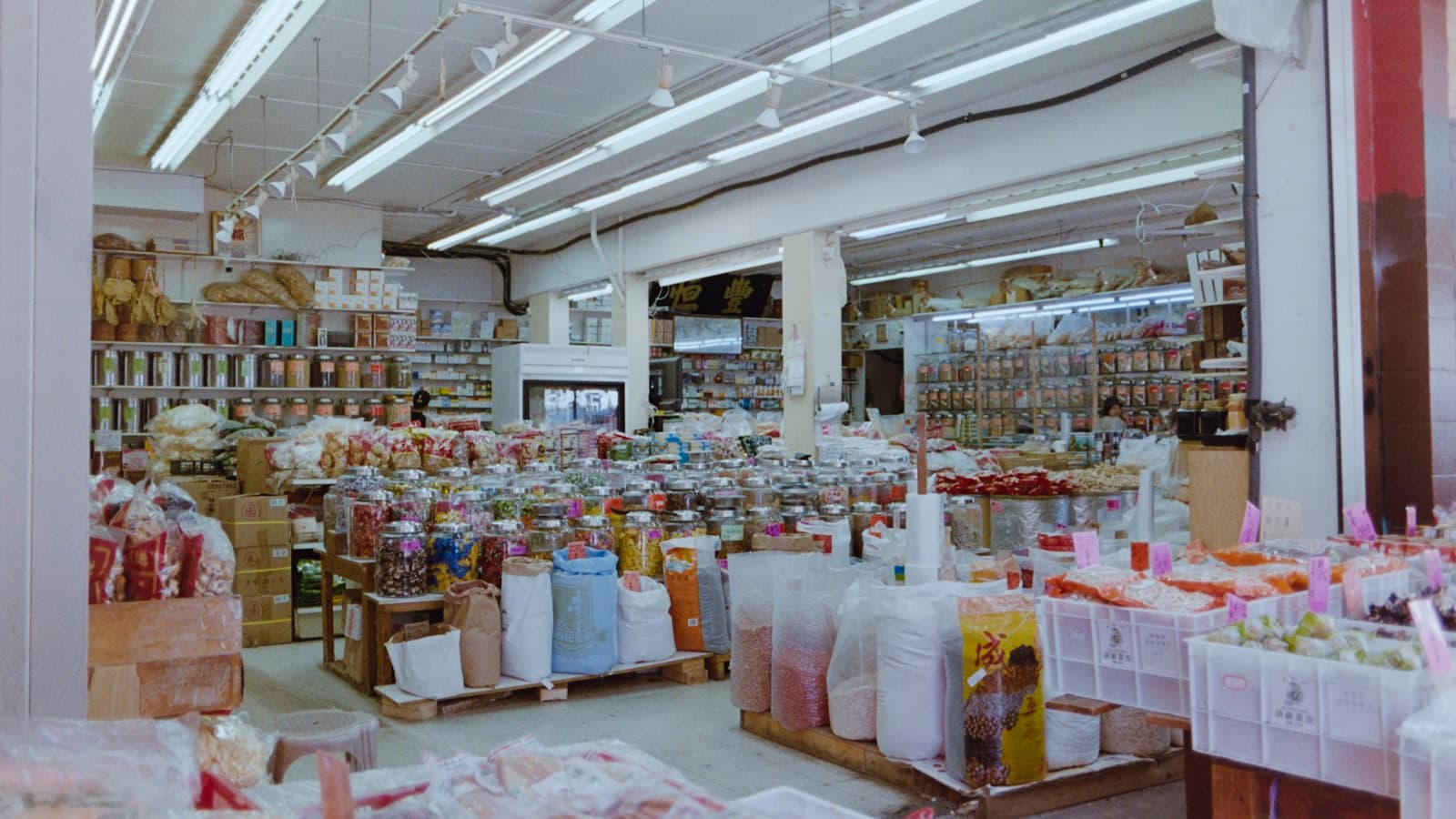 Commercial pest control for Retail Pest Control in Kent