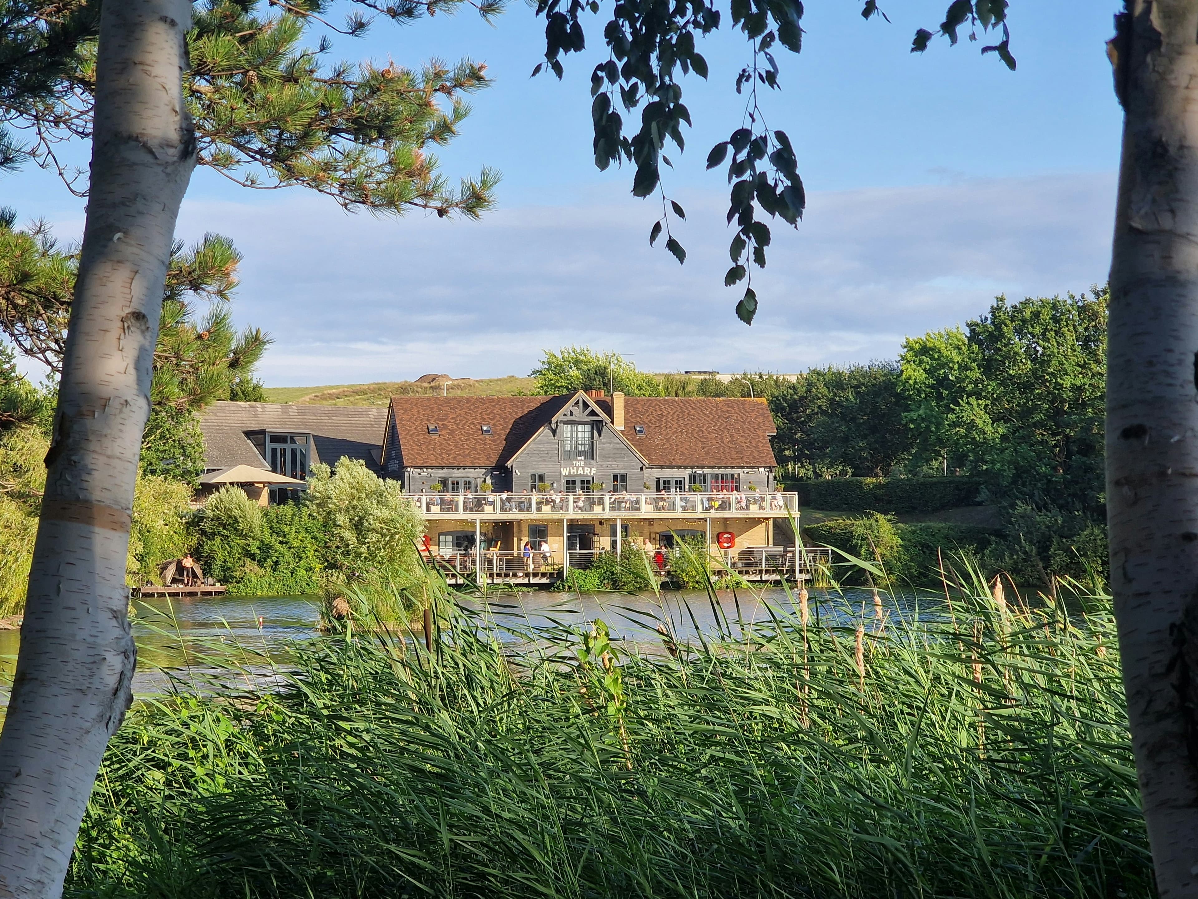 Pest Control in Dartford pest control service